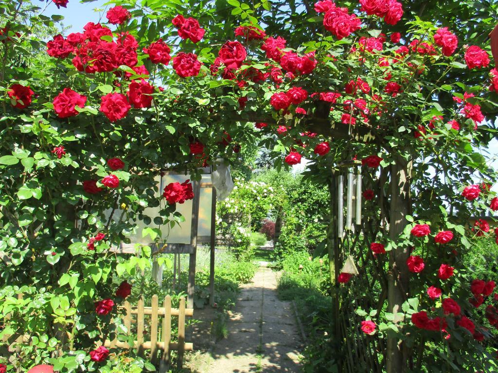 Farm stay Stefflhof